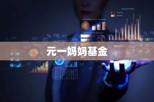 元一妈妈基金