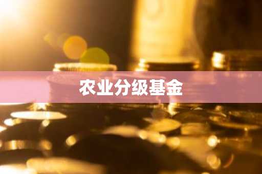 农业分级基金