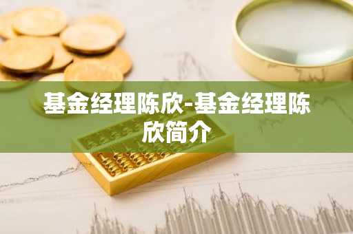 基金经理陈欣-基金经理陈欣简介