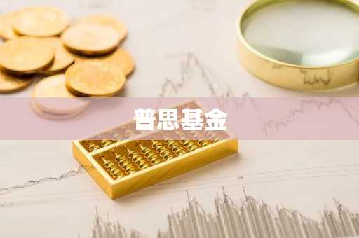 普思基金