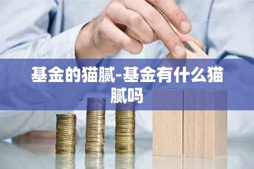 基金的猫腻-基金有什么猫腻吗