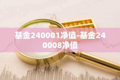 基金240001净值-基金240008净值