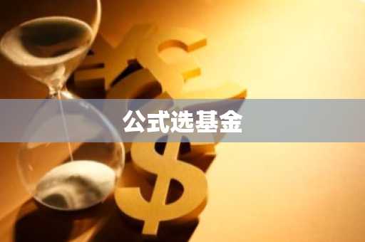 公式选基金
