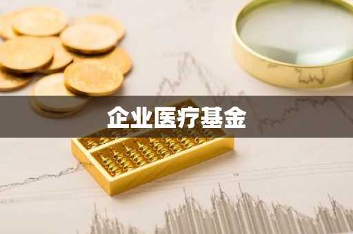 企业医疗基金
