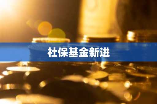 社保基金新进
