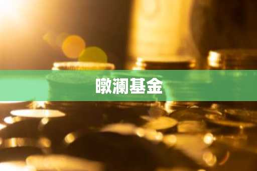 暾澜基金