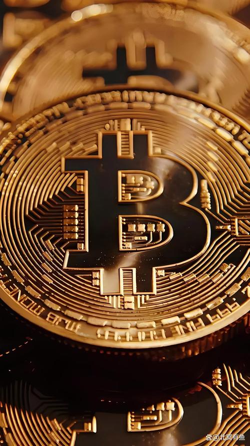 bitbank怎么样：bit bank