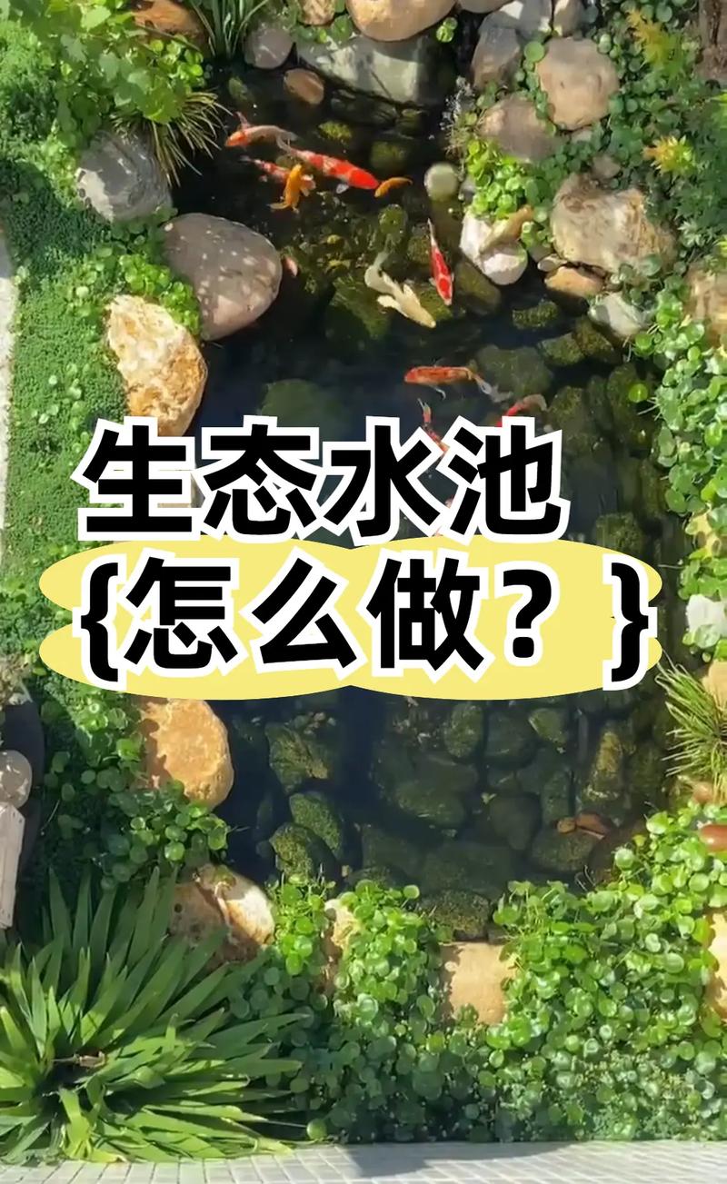 鱼池矿工怎么添加：鱼池矿工怎么添加水