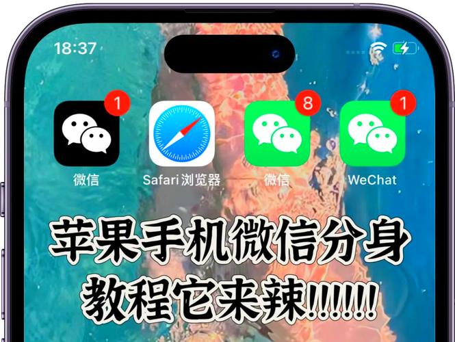 苹果怎么安装bitpie：苹果怎么安装2个微信