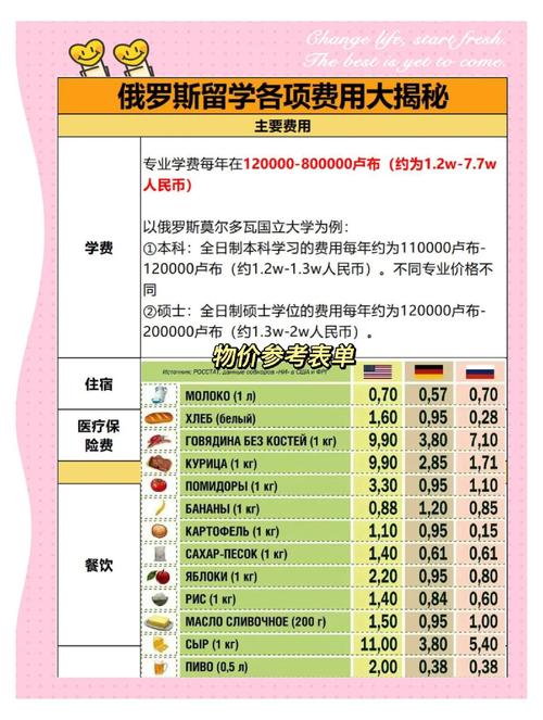 俄罗斯RBC钱包，功能解析与市场前景展望