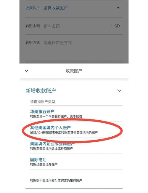 怎么买入nbs币：nb币在哪里买
