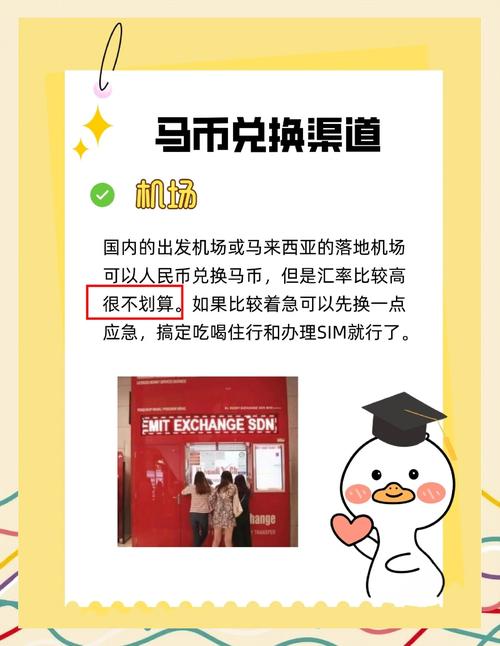 xlm币怎么获取：xlm币有什么用