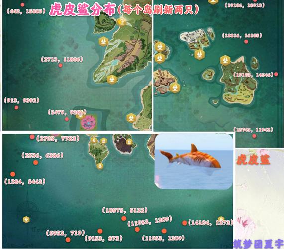 鲨鱼币怎么获得：鲨鱼币怎么获得视频