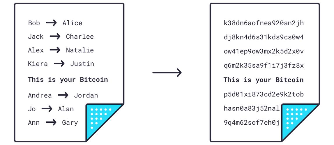 比特币怎么组成：比特币怎么组成的