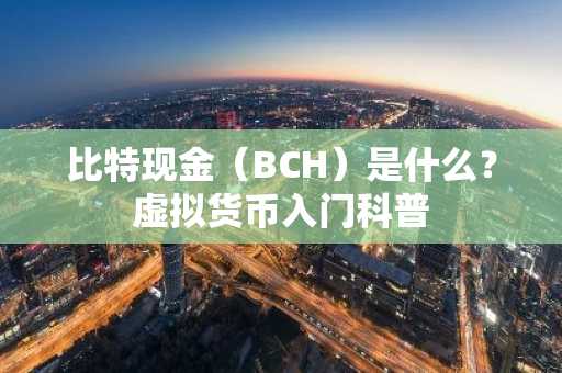 比特现金（BCH）是什么？虚拟货币入门科普