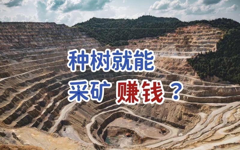 采矿600怎么赚钱：采矿600怎么赚钱最快