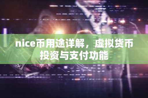 nice币用途详解，虚拟货币投资与支付功能