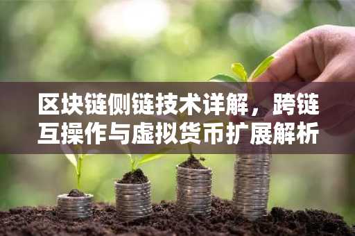 区块链侧链技术详解，跨链互操作与虚拟货币扩展解析