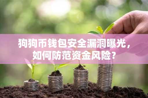 狗狗币钱包安全漏洞曝光，如何防范资金风险？