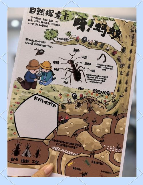 蚂蚁挖矿怎么玩：蚂蚁挖矿怎么玩的