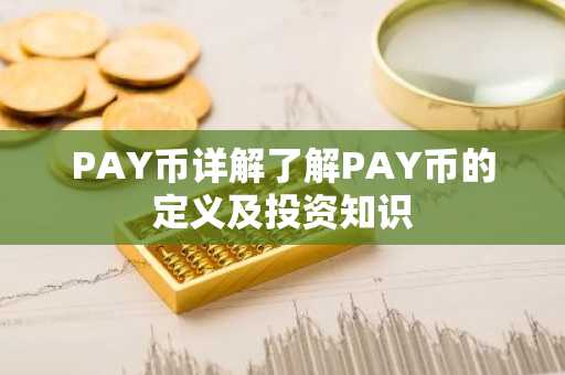 PAY币详解了解PAY币的定义及投资知识