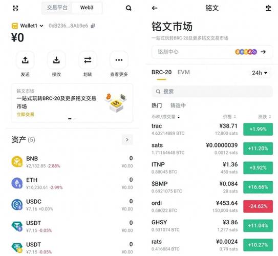 币安钱钱包深度解析，安全便捷的数字货币资产管理平台