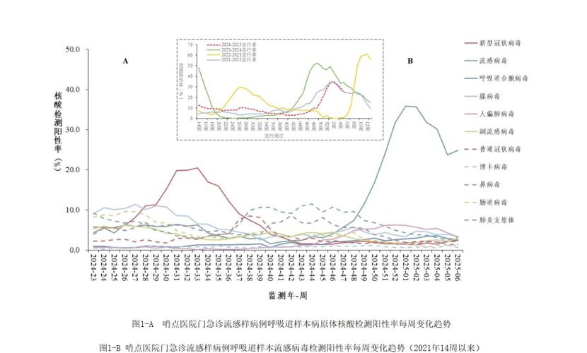 疫情结束时间预测，科学分析与最新动态