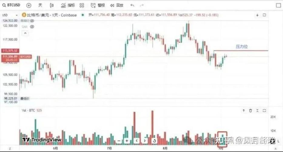 血洗比特币：比特币被血洗