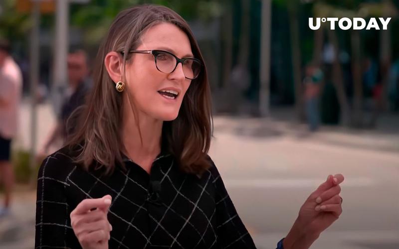 cat比特币：cathie wood比特币