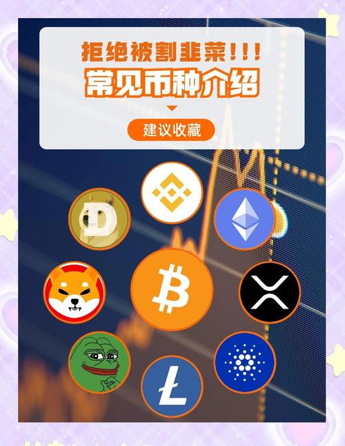 最新加密货币挖掘热潮，盘点热门新币项目与风险