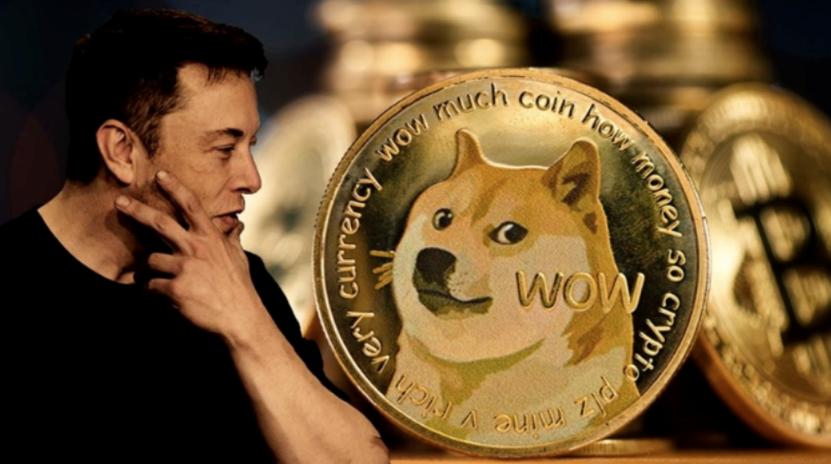 mark比特币：matt kirk 比特币