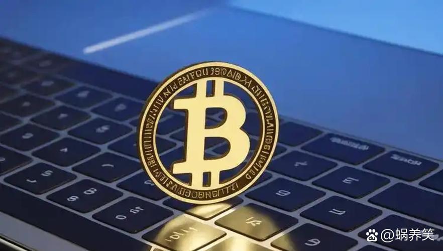 比特币侵占：比特币被攻击