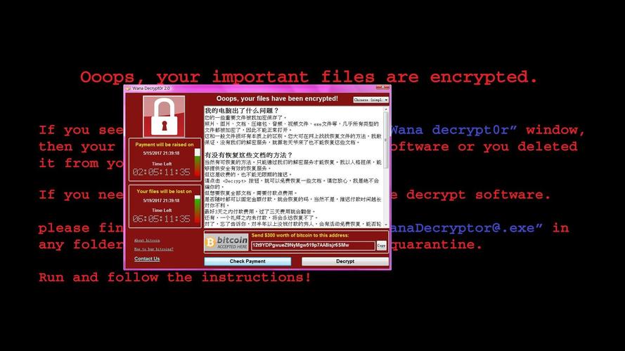 比特币病历：比特币病毒视频