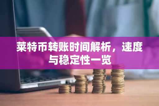 莱特币转账时间解析，速度与稳定性一览