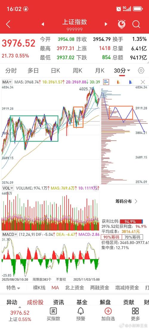 DCF币投资分析，潜力与风险并存，值得关注