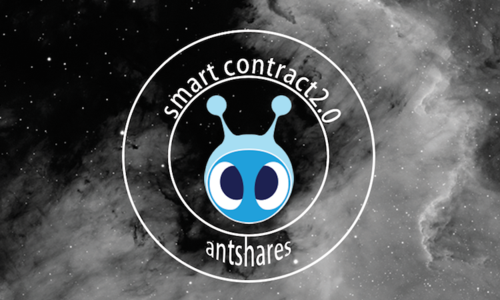 Neo小蚁币使用指南，入门教程与实战技巧