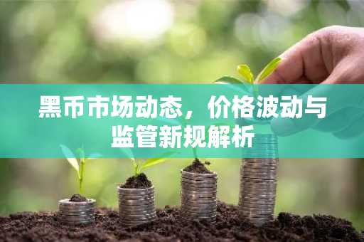 黑币市场动态，价格波动与监管新规解析