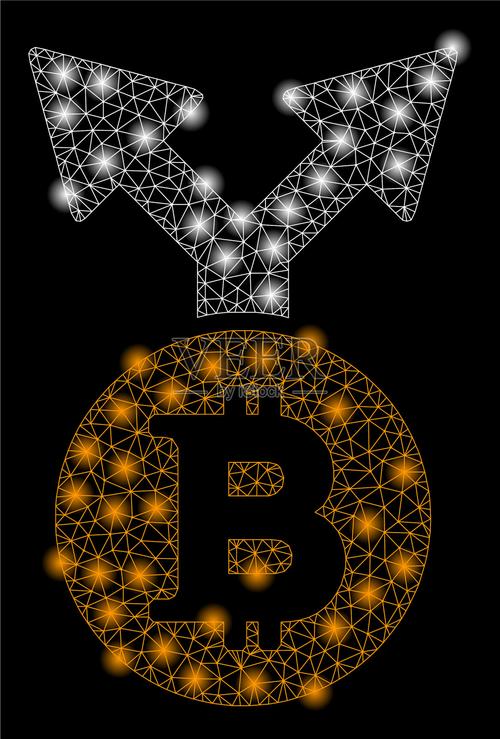 比特币分叉快照操作指南，完整步骤与注意事项