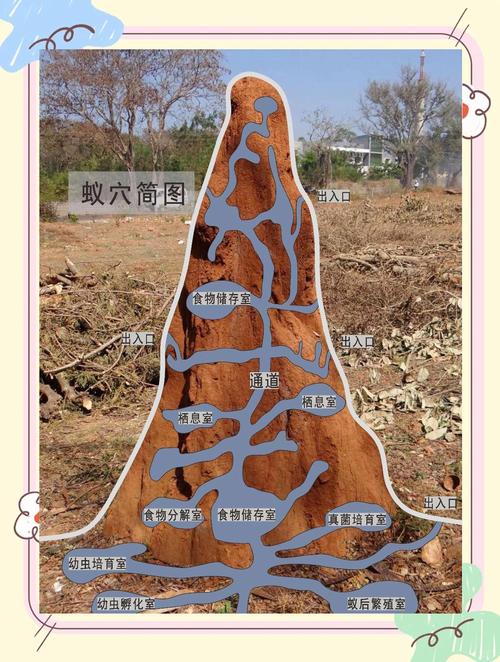 小蚁股挖矿教程，入门级玩家必看攻略