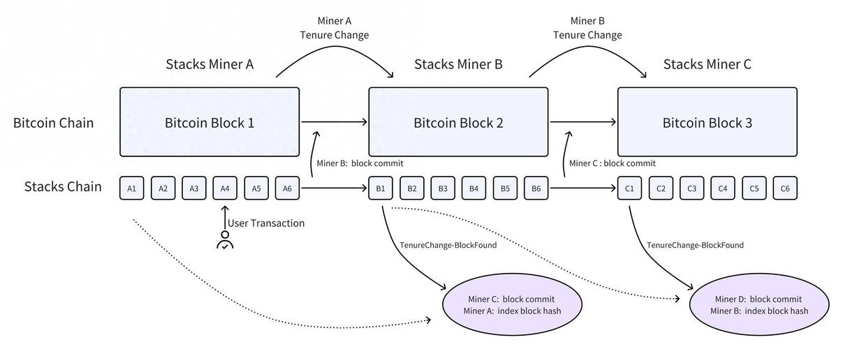 比特比与区块链技术，揭秘加密货币与底层技术的关系