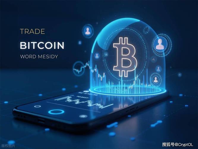 域链币深度解析，揭秘加密货币中的域名新贵