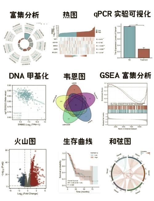 火币全球观察区深度解析，功能、特点与市场影响