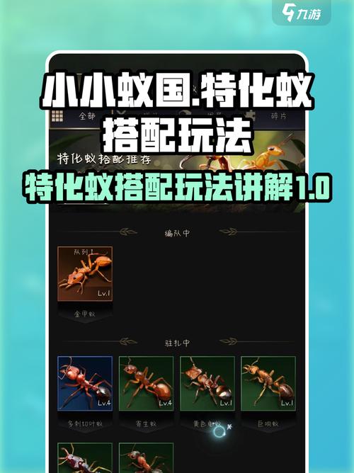 蚂蚁软件IP配置教程，详细步骤与注意事项