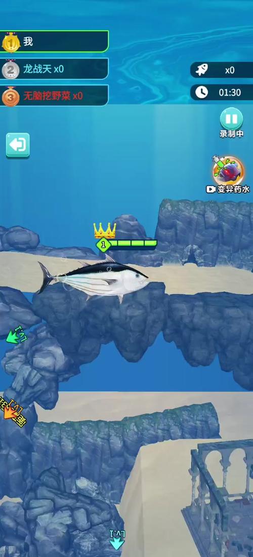 小鲨鱼捕捞热门平台盘点，揭秘最佳捕捞地点与技巧