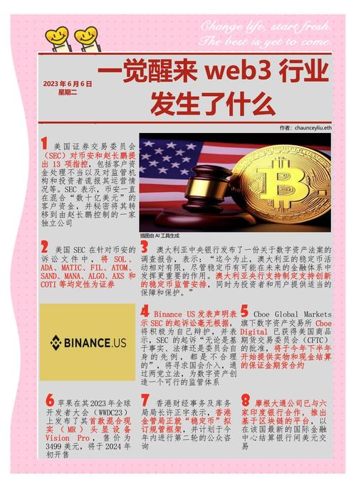 ANW币深度解析，前景展望与投资风险揭秘