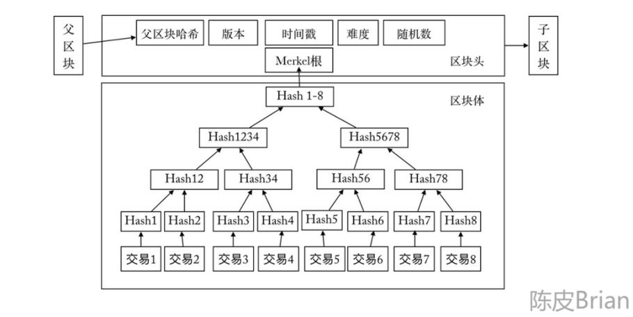 AchainAct详解，区块链应用案例解析