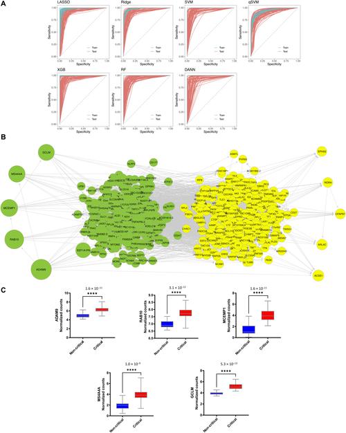 NSTE币子详解，新兴加密货币的机遇与挑战