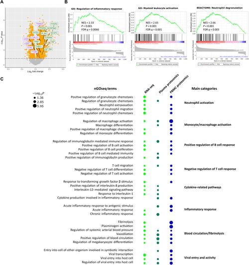 CNS币深度解析，市场前景与风险并存