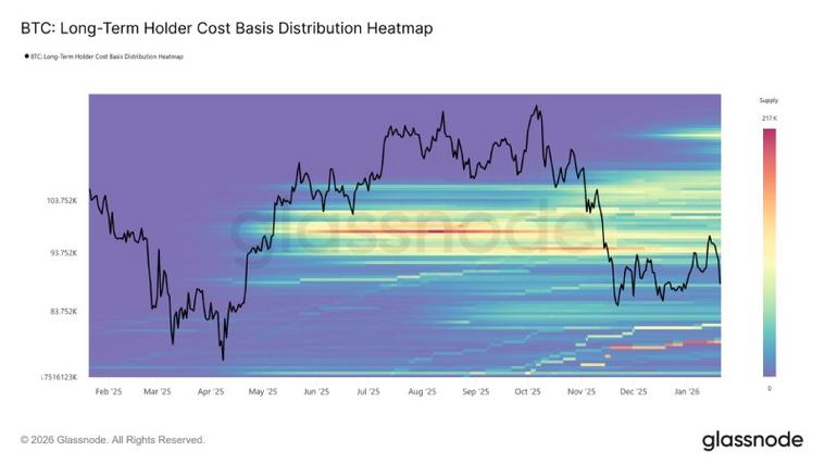 比特儿公司最新动态，市场分析及发展前景解析