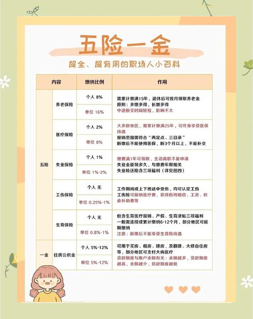 满币网员工待遇深度解析，薪资福利与环境揭秘